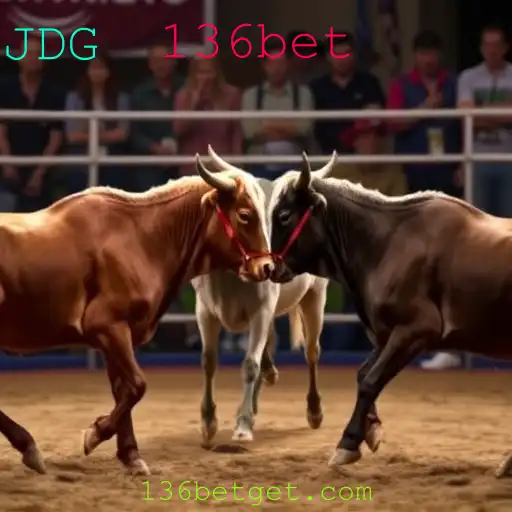 Rinha de galos